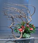 36 - Sarah Thoppil.jpg 5.5K